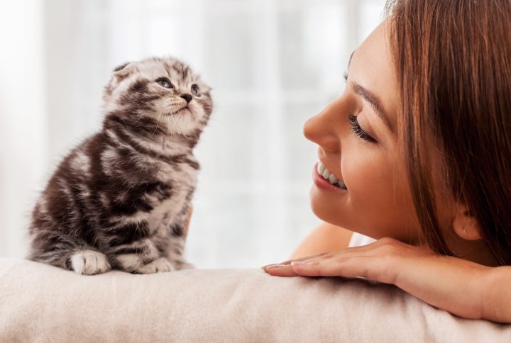 Kitten Care 101: Essential Tips for First-Time Cat Owners